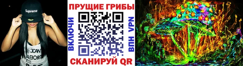 Купить закладки  Горячий Ключ  Псилоцибиновые грибы Psilocybine cubensis 