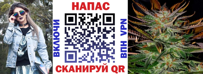 Купить где  Горячий Ключ  Бошки марихуана SATIVA & INDICA 